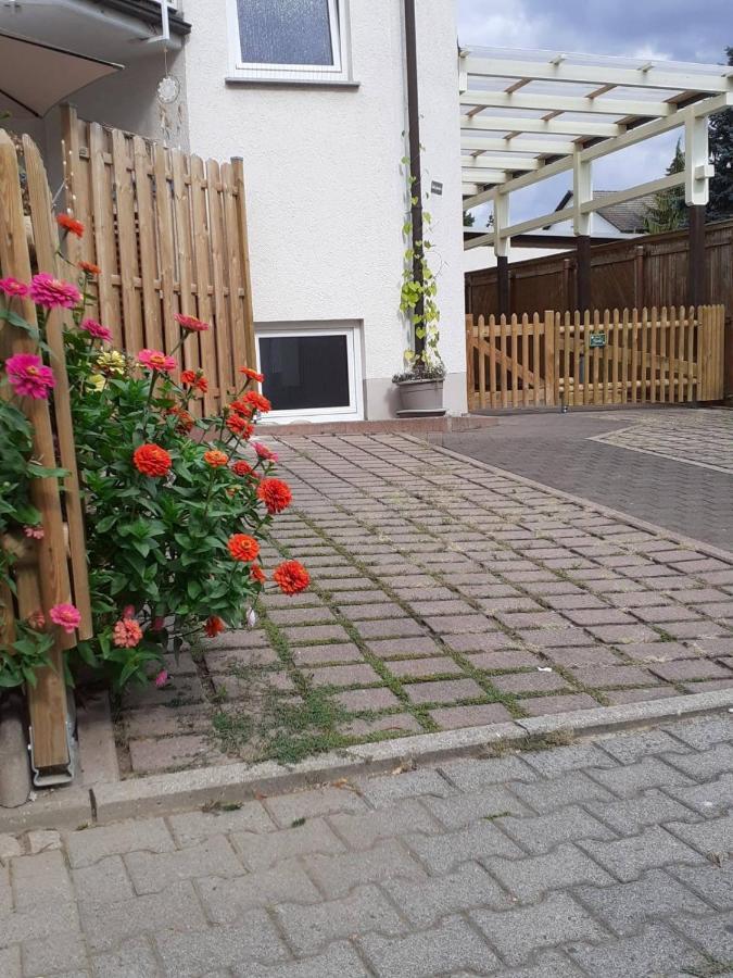 Frei 3 Appartement
